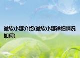 微軟小娜介紹(微軟小娜詳細情況如何)