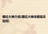 哪位大神介紹(哪位大神詳細情況如何)
