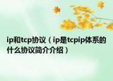 ip和tcp協(xié)議（ip是tcpip體系的什么協(xié)議簡介介紹）
