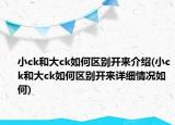 小ck和大ck如何區(qū)別開來介紹(小ck和大ck如何區(qū)別開來詳細(xì)情況如何)