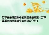 芳草萋萋鸚鵡洲中的鸚鵡洲是哪里（芳草萋萋鸚鵡洲是哪個城市簡介介紹）