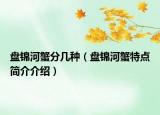 盤錦河蟹分幾種（盤錦河蟹特點(diǎn)簡(jiǎn)介介紹）