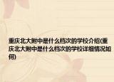 重慶北大附中是什么檔次的學(xué)校介紹(重慶北大附中是什么檔次的學(xué)校詳細(xì)情況如何)