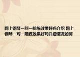 網(wǎng)上鋼琴一對一陪練效果好嗎介紹 網(wǎng)上鋼琴一對一陪練效果好嗎詳細情況如何