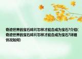 奇跡世界的寶石碎片怎樣才能合成為寶石?介紹(奇跡世界的寶石碎片怎樣才能合成為寶石?詳細(xì)情況如何)