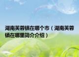 湖南芙蓉鎮(zhèn)在哪個(gè)市（湖南芙蓉鎮(zhèn)在哪里簡介介紹）