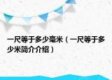 一尺等于多少毫米（一尺等于多少米簡介介紹）