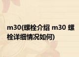 m30(螺栓介紹 m30 螺栓詳細情況如何)