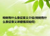 榕樹有什么象征意義介紹(榕樹有什么象征意義詳細情況如何)