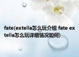 fate(extella怎么玩介紹 fate extella怎么玩詳細(xì)情況如何)