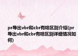 pr導(dǎo)出vbr和cbr有啥區(qū)別介紹(pr導(dǎo)出vbr和cbr有啥區(qū)別詳細(xì)情況如何)