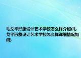 毛戈平形象設(shè)計藝術(shù)學(xué)校怎么樣介紹(毛戈平形象設(shè)計藝術(shù)學(xué)校怎么樣詳細(xì)情況如何)