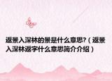 返景入深林的景是什么意思?（返景入深林返字什么意思簡介介紹）