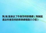 狗,貓,鼠表達(dá)了作者怎樣的情感（狗貓鼠表達(dá)作者怎樣的思想感情簡介介紹）