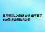 黛玉葬花100簡(jiǎn)述介紹 黛玉葬花100簡(jiǎn)述詳細(xì)情況如何