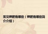 常見鉀肥有哪些（鉀肥有哪些簡介介紹）