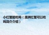 小紅蟹能吃嗎（澳洲紅蟹可以吃嗎簡(jiǎn)介介紹）