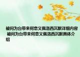 被問為臺帶來何意義佩洛西沉默詳細(xì)內(nèi)容 被問為臺帶來何意義佩洛西沉默具體介紹