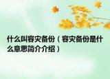 什么叫容災(zāi)備份（容災(zāi)備份是什么意思簡介介紹）