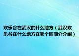 歡樂谷在武漢的什么地方（武漢歡樂谷在什么地方在哪個區(qū)簡介介紹）