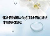 郁金香的折法介紹(郁金香的折法詳細情況如何)