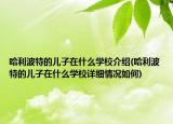 哈利波特的兒子在什么學(xué)校介紹(哈利波特的兒子在什么學(xué)校詳細(xì)情況如何)