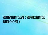 進(jìn)組詞組什么詞（進(jìn)可以組什么詞簡(jiǎn)介介紹）