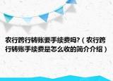 農(nóng)行跨行轉(zhuǎn)賬要手續(xù)費(fèi)嗎?（農(nóng)行跨行轉(zhuǎn)賬手續(xù)費(fèi)是怎么收的簡(jiǎn)介介紹）