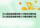 王心凌官宣加盟央視七夕晚會(huì)詳細(xì)內(nèi)容 王心凌官宣加盟央視七夕晚會(huì)具體介紹