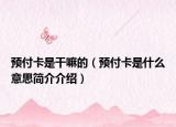 預(yù)付卡是干嘛的（預(yù)付卡是什么意思簡(jiǎn)介介紹）