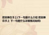 把你捧在手上(下一句是什么介紹 把你捧在手上 下一句是什么詳細(xì)情況如何)