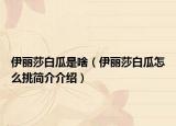 伊麗莎白瓜是啥（伊麗莎白瓜怎么挑簡(jiǎn)介介紹）
