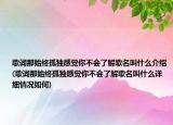 歌詞那始終孤獨(dú)感覺你不會(huì)了解歌名叫什么介紹(歌詞那始終孤獨(dú)感覺你不會(huì)了解歌名叫什么詳細(xì)情況如何)