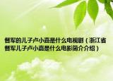 督軍的兒子盧小嘉是什么電視劇（浙江省督軍兒子盧小嘉是什么電影簡介介紹）