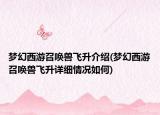 夢幻西游召喚獸飛升介紹(夢幻西游召喚獸飛升詳細(xì)情況如何)