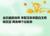 當(dāng)日最新消息 羊脂玉和羊脂白玉有啥區(qū)別 兩者哪個比較貴