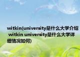 witkin(university是什么大學介紹 witkin university是什么大學詳細情況如何)