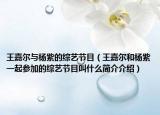 王嘉爾與楊紫的綜藝節(jié)目（王嘉爾和楊紫一起參加的綜藝節(jié)目叫什么簡(jiǎn)介介紹）