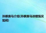 孫臏賽馬介紹(孫臏賽馬詳細(xì)情況如何)