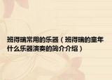 班得瑞常用的樂器（班得瑞的童年什么樂器演奏的簡介介紹）