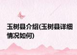 玉樹縣介紹(玉樹縣詳細情況如何)