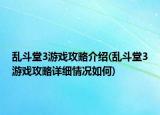 亂斗堂3游戲攻略介紹(亂斗堂3游戲攻略詳細情況如何)