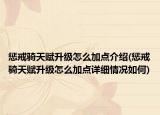 懲戒騎天賦升級怎么加點介紹(懲戒騎天賦升級怎么加點詳細情況如何)