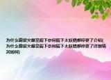 為什么霸愛(ài)火爆皇殿下奈何殿下太妖嬈都停更了介紹(為什么霸愛(ài)火爆皇殿下奈何殿下太妖嬈都停更了詳細(xì)情況如何)