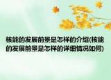核能的發(fā)展前景是怎樣的介紹(核能的發(fā)展前景是怎樣的詳細(xì)情況如何)