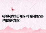 楊春風(fēng)的簡(jiǎn)歷介紹(楊春風(fēng)的簡(jiǎn)歷詳細(xì)情況如何)