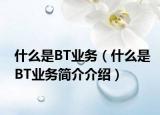 什么是BT業(yè)務(wù)（什么是BT業(yè)務(wù)簡介介紹）