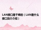 LAN接口是干嘛的（LAN是什么接口簡介介紹）