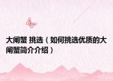 大閘蟹 挑選（如何挑選優(yōu)質(zhì)的大閘蟹簡(jiǎn)介介紹）