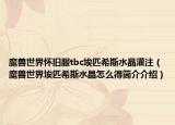 魔獸世界懷舊服tbc埃匹希斯水晶灌注（魔獸世界埃匹希斯水晶怎么得簡介介紹）
